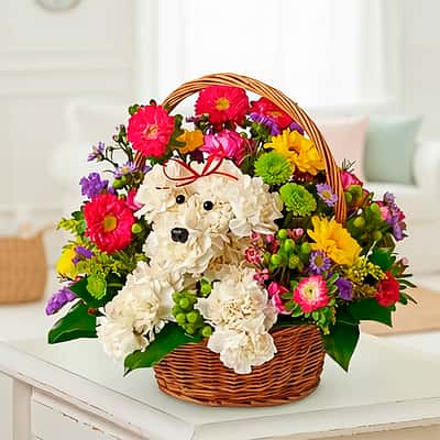 Flowers to Loma Bonita Mexico Amazing Floral Puppy