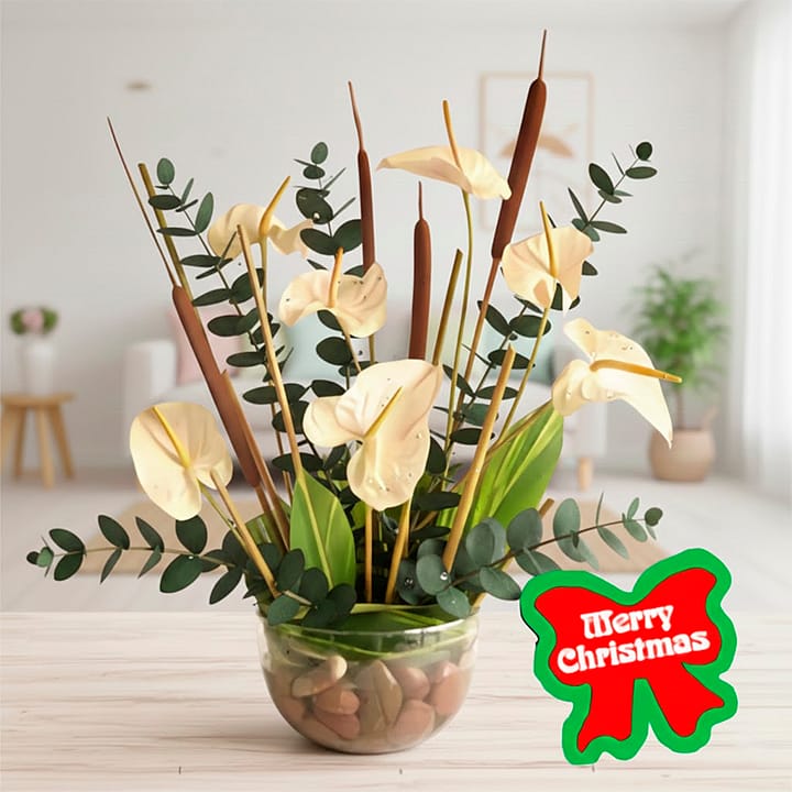 buy monstera deliciosa uk Magnolia the Florist |Monstera Deliciosa in Ceramic Planter main image 0
